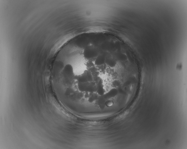 X0000113081401200909110953