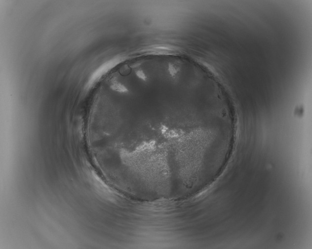 X0000113081402200909110953