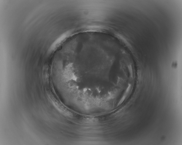 X0000113081403200909110953