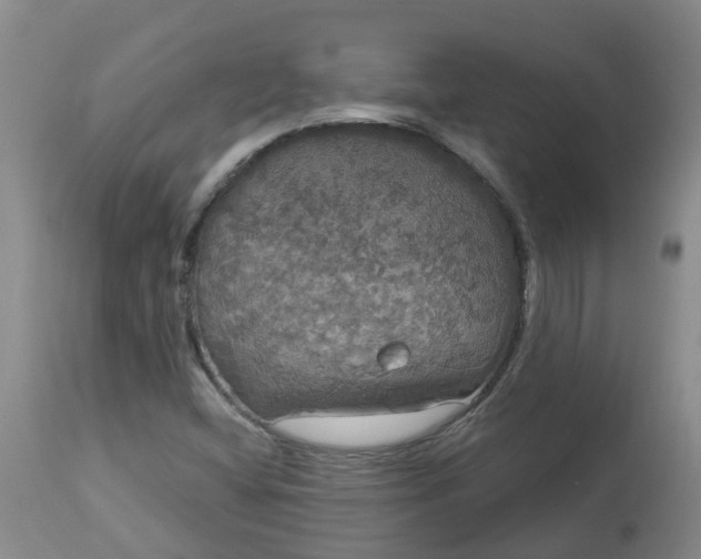 X0000113081404200909110953