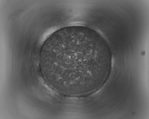 X0000113081405200909110953