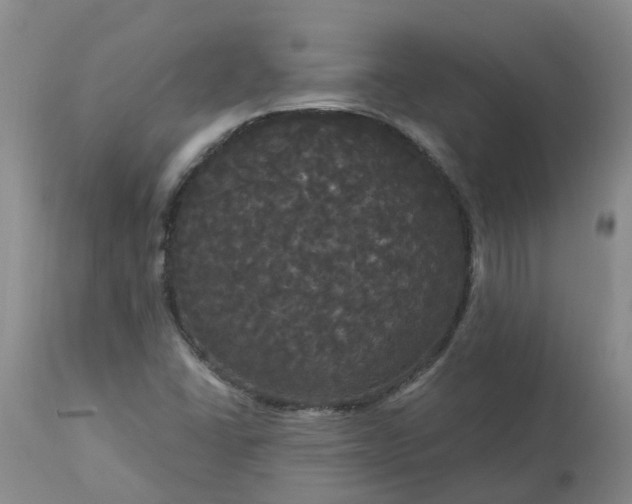 X0000113081406200909110953