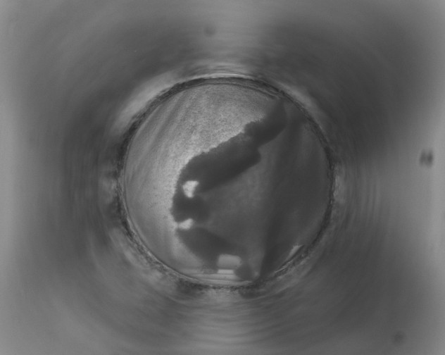 X0000113081407200909110953