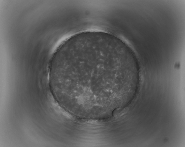 X0000113081408200909110953