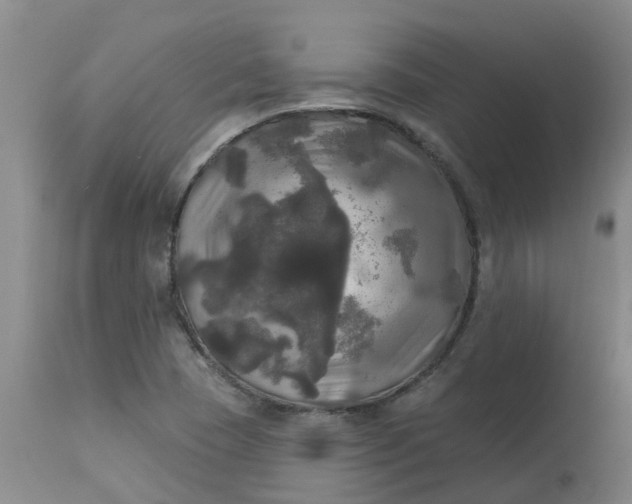 X0000113081409200909110953