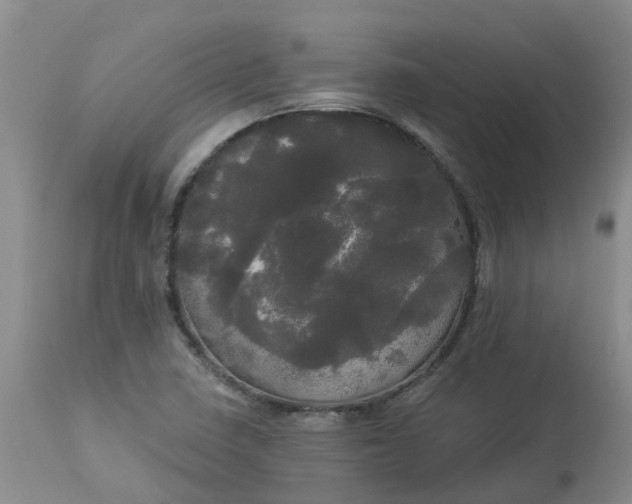 X0000113081410200909110953