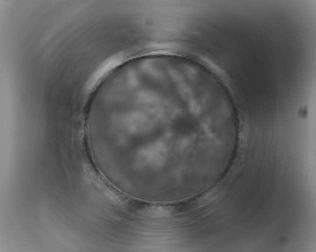 X0000113081411200909110953