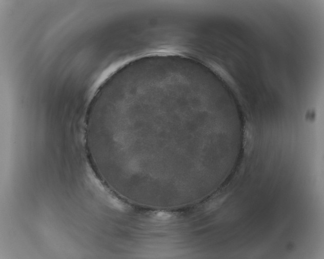 X0000113081412200909110953