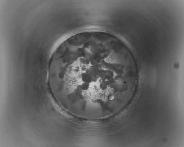 X0000113081413200909110953