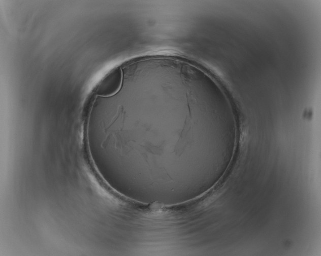 X0000113081414200909110953