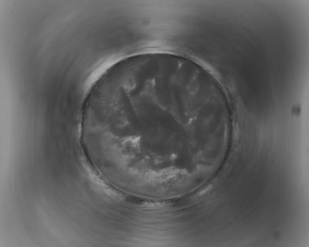 X0000113081415200909110953