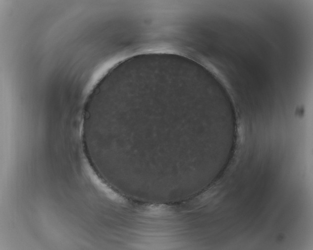 X0000113081416200909110953