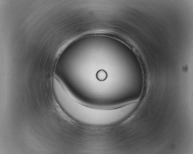 X0000113081417200909110953