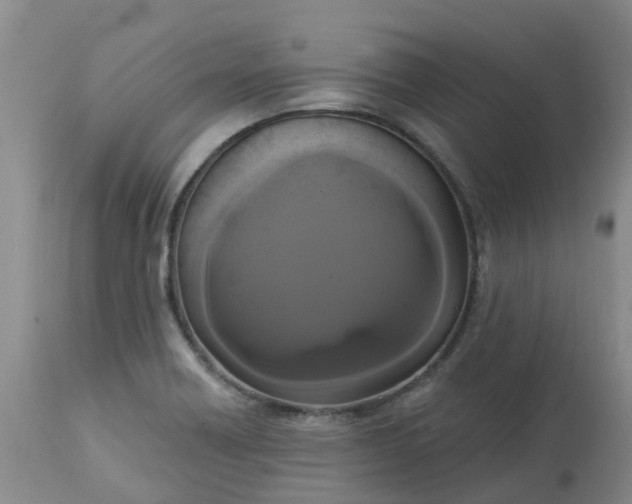 X0000113081418200909110953