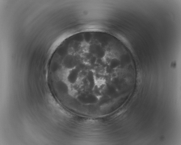 X0000113081419200909110953