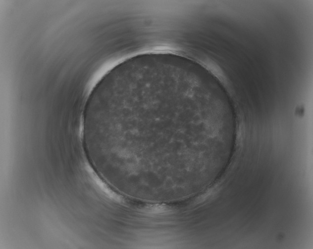 X0000113081420200909110953