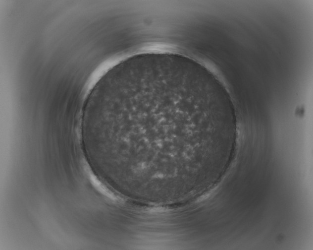 X0000113081421200909110953