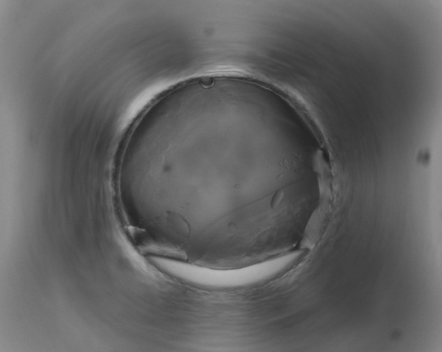 X0000113081422200909110953