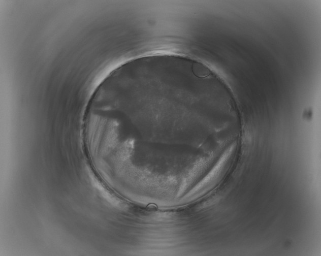 X0000113081423200909110953