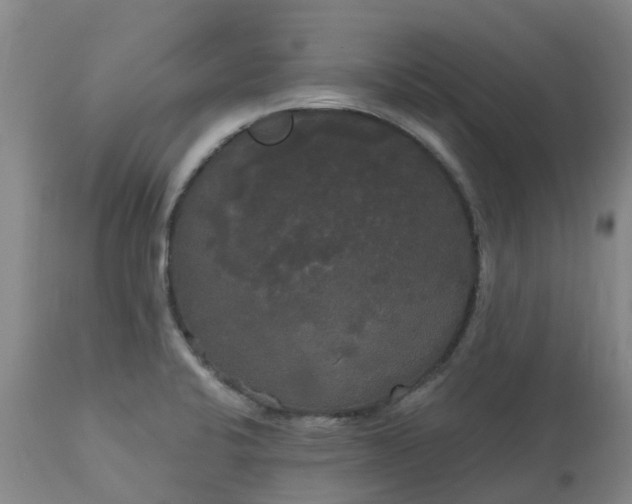 X0000113081424200909110953