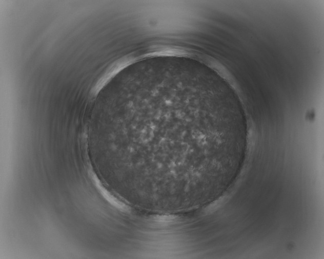 X0000113081425200909110953