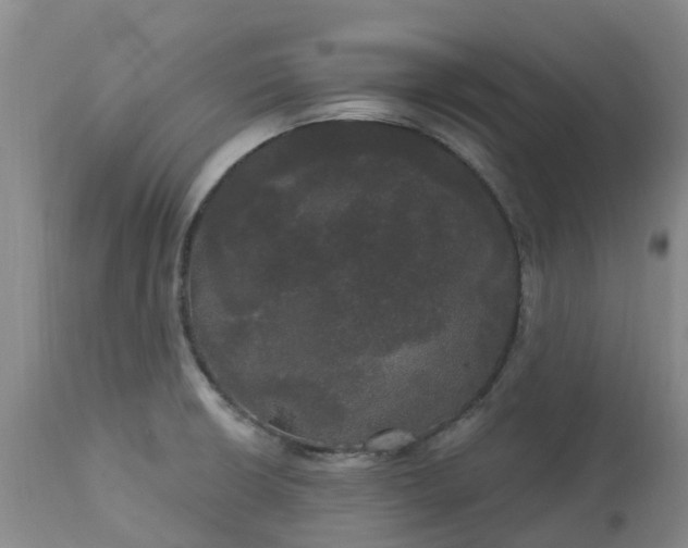 X0000113081426200909110953