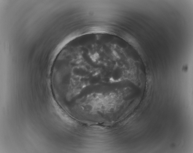 X0000113081427200909110953