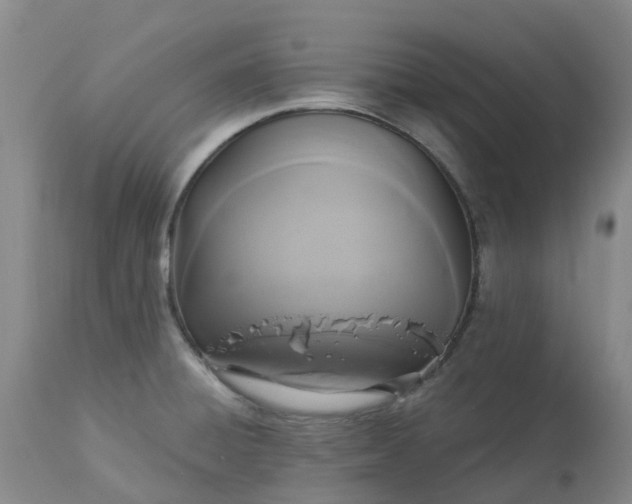 X0000113081428200909110953