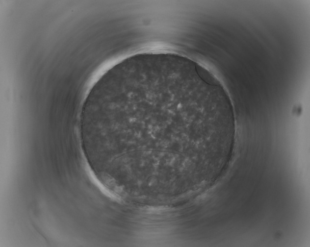 X0000113081429200909110953