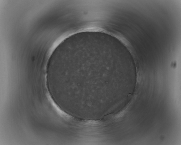 X0000113081430200909110953