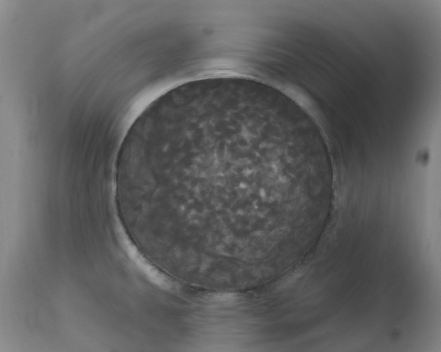 X0000113081431200909110953