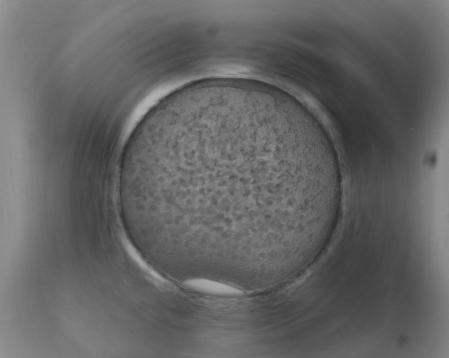 X0000113081432200909110953