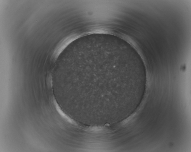 X0000113081433200909110953