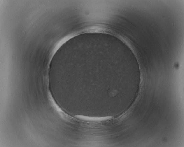 X0000113081434200909110953