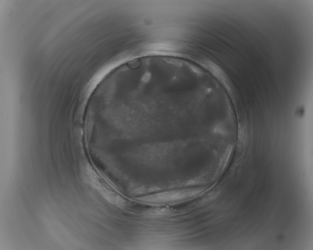 X0000113081435200909110953