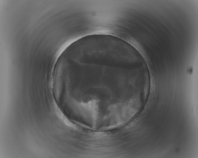 X0000113081436200909110953