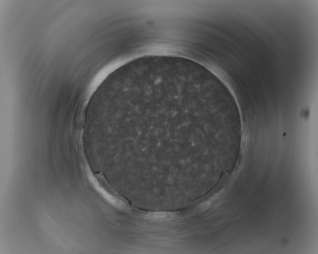 X0000113081437200909110953