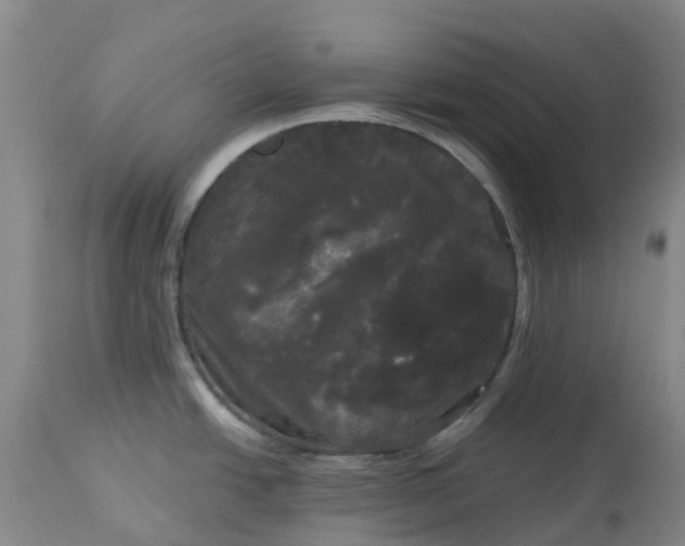 X0000113081438200909110953