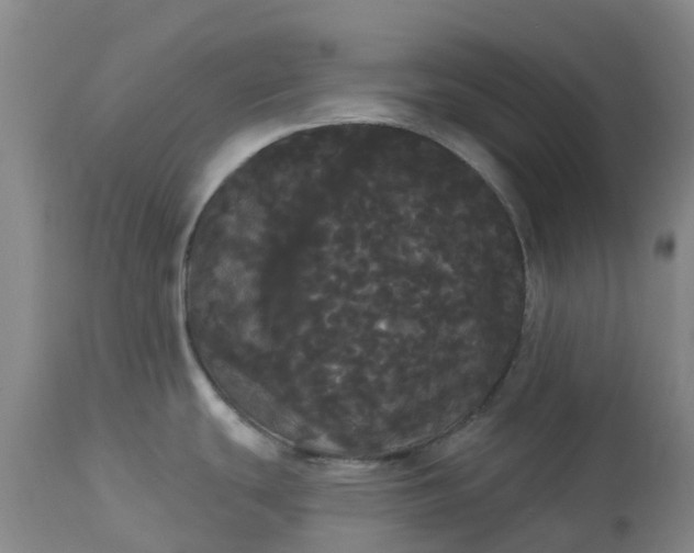 X0000113081439200909110953