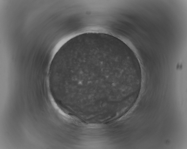 X0000113081440200909110953