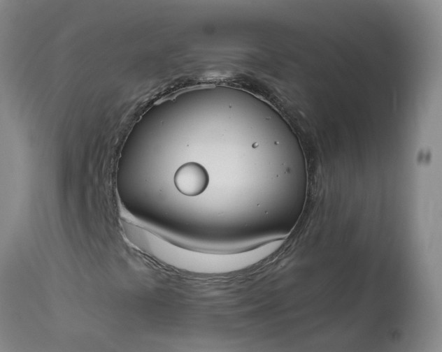 X0000113081441200909110953