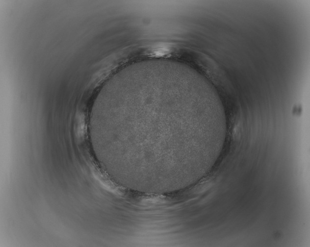 X0000113081442200909110953