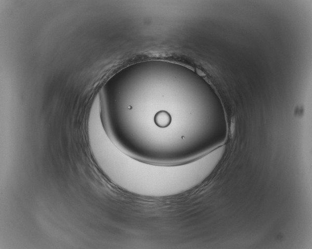 X0000113081444200909110953