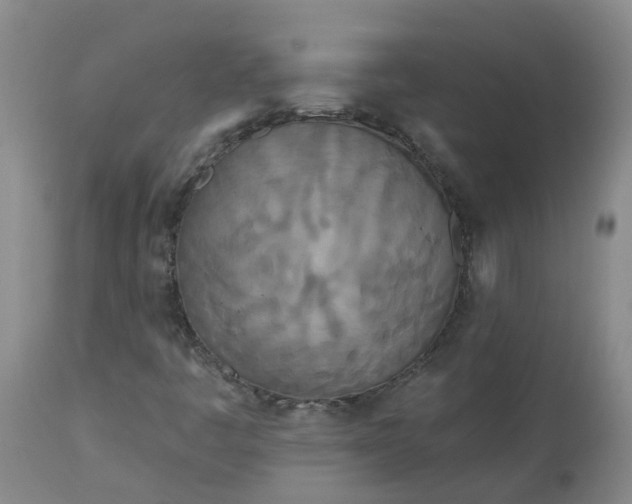 X0000113081445200909110953