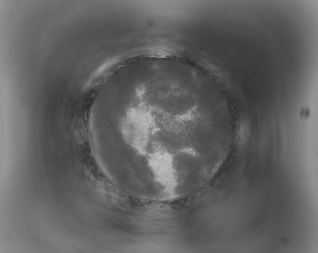 X0000113081446200909110953