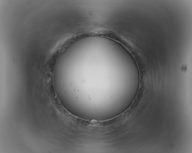 X0000113081447200909110953