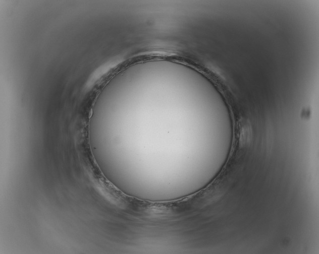 X0000113081448200909110953