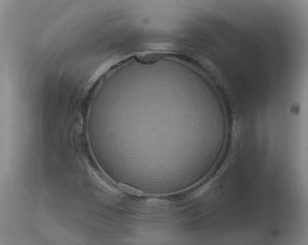 X0000113081449200909110953