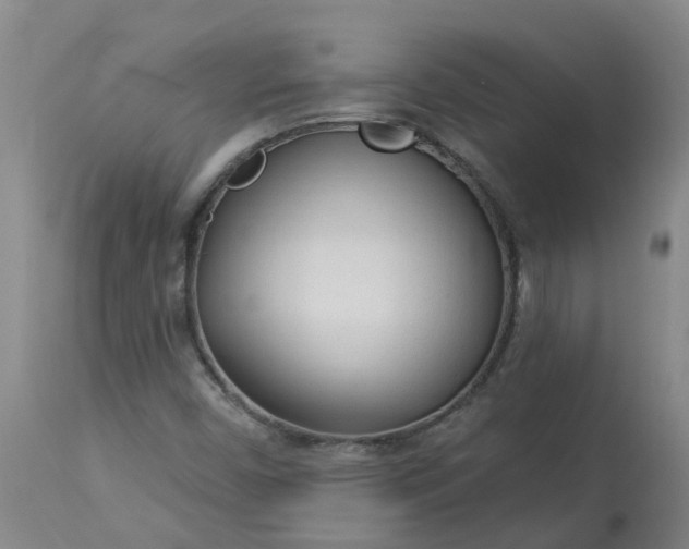 X0000113081450200909110953