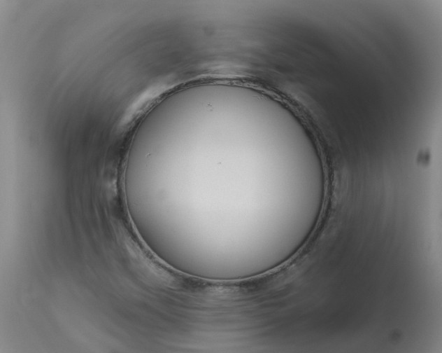 X0000113081451200909110953